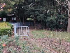 -上海滨江森林公园