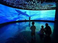 -同济大学四平路校区深海探索馆