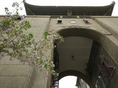 -武汉大学-樱园