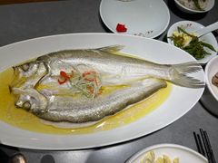 清蒸鸡汁白鱼-姑苏家宴·苏帮菜·松鼠桂鱼(苏州总店)