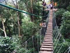 -清迈丛林飞跃 JungleFlight