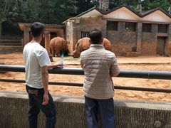 -昆明动物园