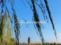 -西海子公园