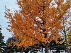 -绿堤公园