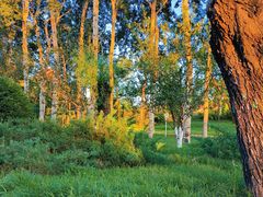 -元大都城垣遗址公园