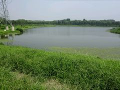 -丁香湖公园