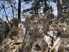 -秦岭天竺山生态文化旅游景区