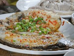 -晓雯人家