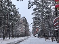 -北极村旅游风景区