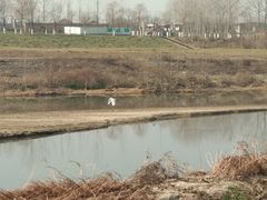 -洨河生态公园