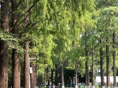 -东湖落雁景区