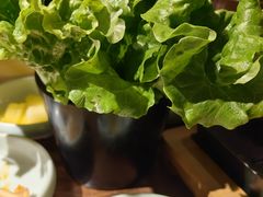 -九田家黑牛烤肉料理(太阳宫广场店)
