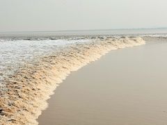 -观潮胜地公园