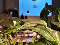 -West10 西拾·西餐厅·创意菜(未来科技城店)