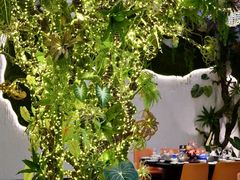 -驻海渔市(置信店)