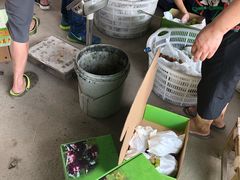 -马陆小张葡萄园农家乐