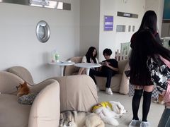 -怪兽屋·羊驼·猫咖·狗咖(俊华广场店)