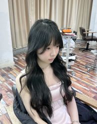 -IDOL-PLUS