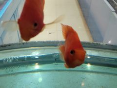 -烟台碧海饭店(烟台火车站店)