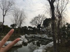 -上海崇明金茂凯悦酒店