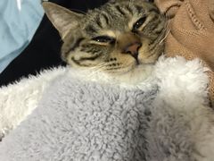 -莒县世起全羊馆(塔桥人家店)