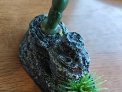-小土豆北方菜馆(方庄店)