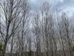 -清溪水库