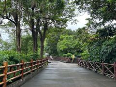 -广州莲花山旅游区
