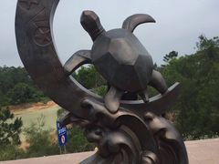 -广东惠东海龟国家级自然保护区