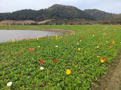 -径山花海