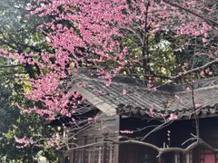 -杭州半山国家森林公园