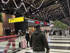 -谢列梅捷沃国际机场