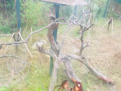 -宁波野生动物园