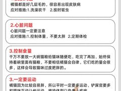 -翊宠yipet猫狗购宠庄园犬舍•猫舍