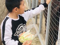 -意大利农场度假村