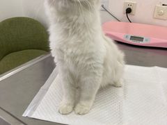 -北京恒爱动物医院(清景园分院)