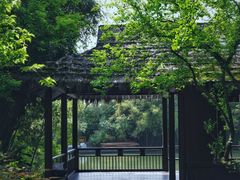 -西溪国家湿地公园