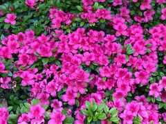 -常州古运河南大街文化旅游区-人民公园