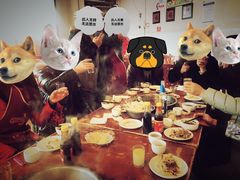 -佘记全家福芋儿鸡(向阳街总店)