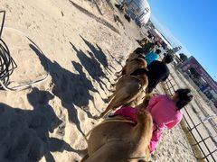 -库伦旗银沙湾旅游景区