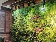-泽云梵莲花足浴 按摩 SPA(滨湖店)
