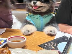 -匠和风精致料理(成都龙湖滨江天街店)