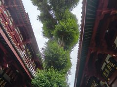 -叩齿古寺