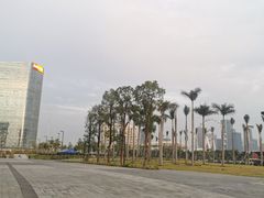 -宝安西湾红树林湿地公园