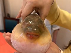 -长顺河豚馆(江洲东路)