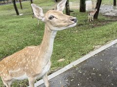 -秦皇岛野生动物园