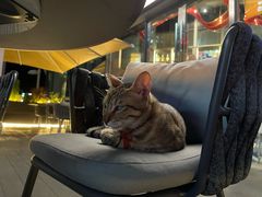 -叁 Three· bistro餐酒馆