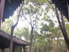 -上海佘山国家森林公园天马山园