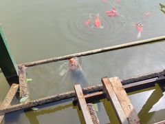 -陶祖圣境风景区