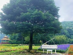 -广州市石门国家森林公园